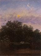 Carl Gustav Carus Blooming Elderberry Hedge in the Moonlight china oil painting reproduction